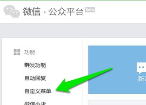 自定义菜单 自定义菜单
