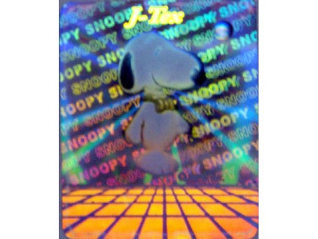 �����α�̱�