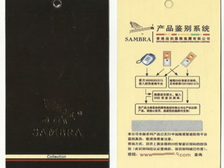 ��װ��α��������