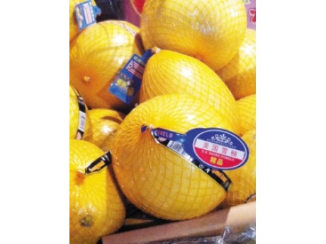 ���ӱ�ǩ����