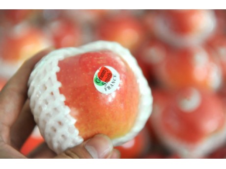 ƻ����ǩ����