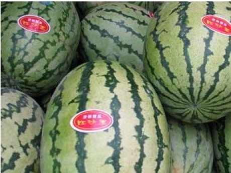 ���Ϸ�α��ǩ����