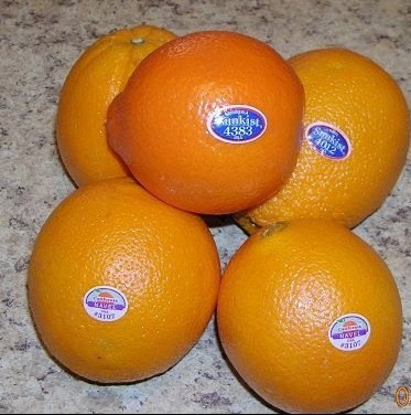 ���ӷ�α��ǩ����